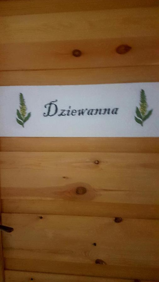 Dziewanna Apartment Brzeziniec Luaran gambar